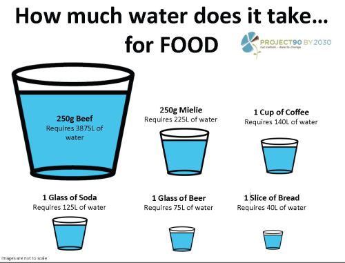 how-much-water-does-it-take-for-food